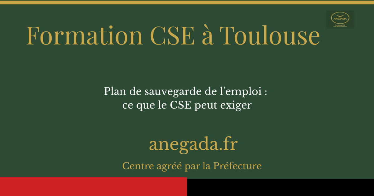 Plan de sauvegarde de l'emploi à Toulouse : ce que le CSE peut exiger
