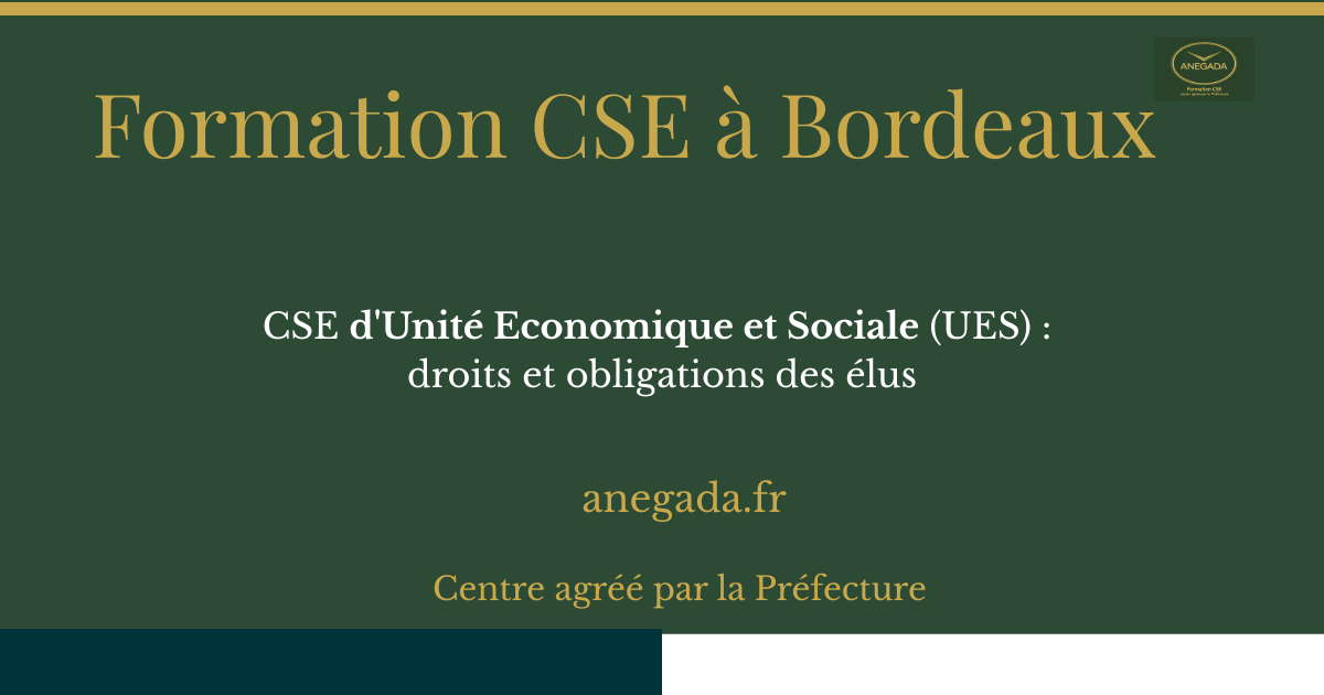 François Deplanque — CSE d'UES à Bordeaux : droits et obligations des élus