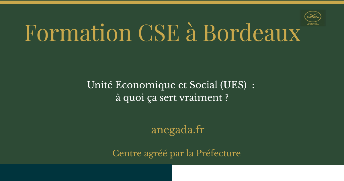 François Deplanque — Mettre en place une UES à Bordeaux : le mode d'emploi complet