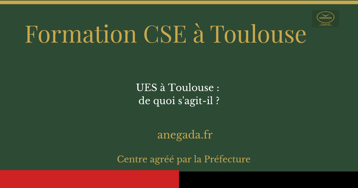 François Deplanque — UES à Toulouse : de quoi s'agit-il ?