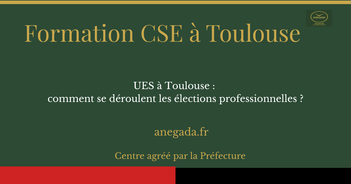 François Deplanque — UES à Toulouse : comment se déroulent les élections professionnelles ?