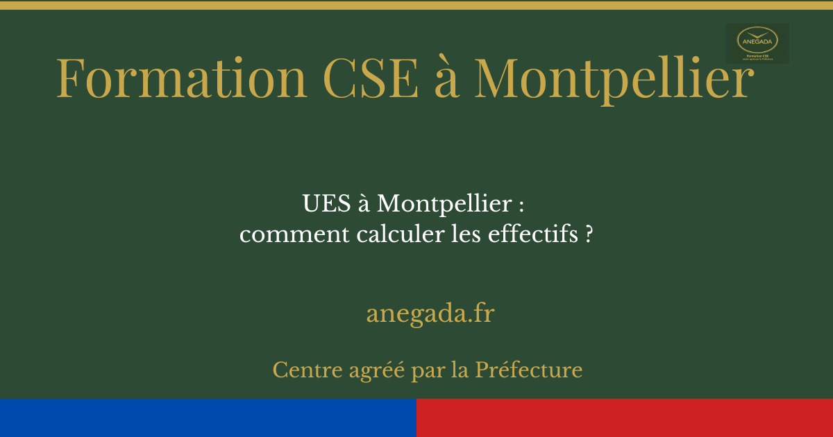 François Deplanque — UES à Montpellier : comment calculer les effectifs ?