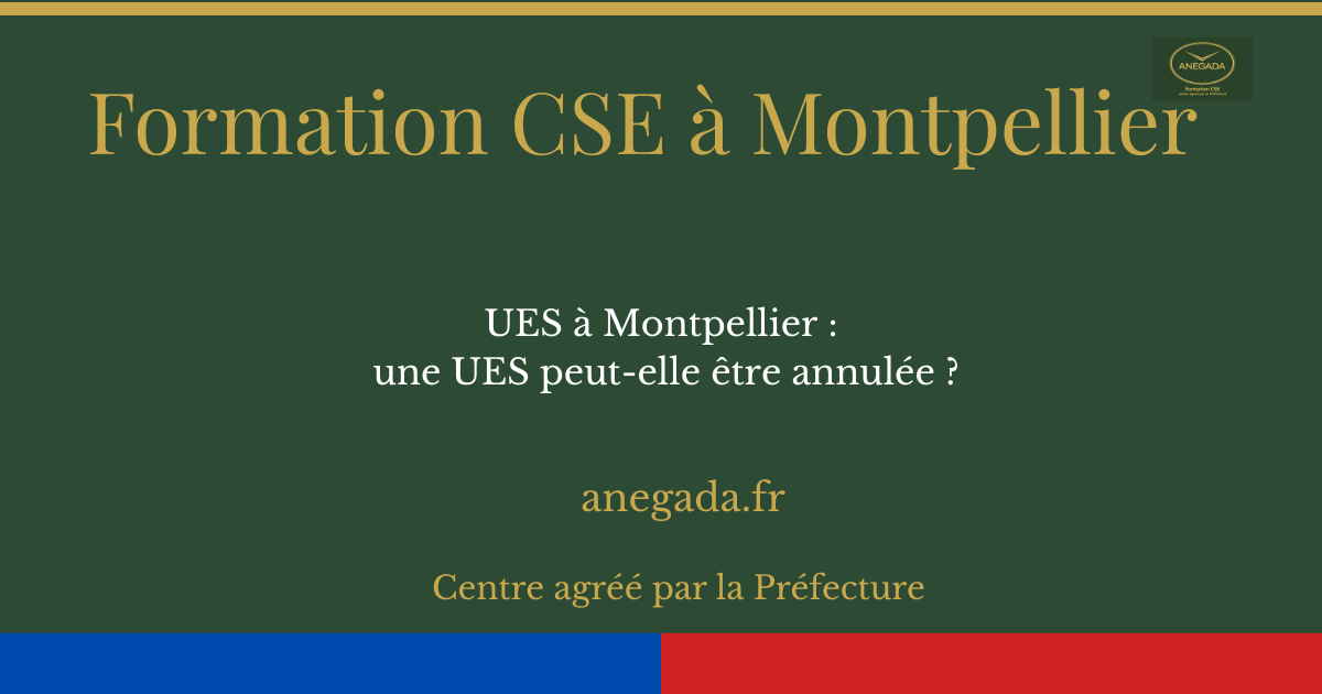 François Deplanque — CSE-UES à Montpellier : une UES peut-elle être annulée ?
