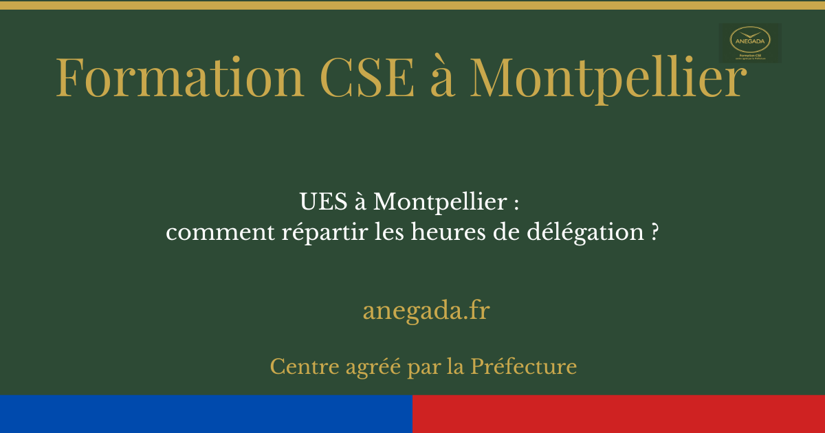 François Deplanque — UES à Montpellier : comment répartir les heures de délégation ?