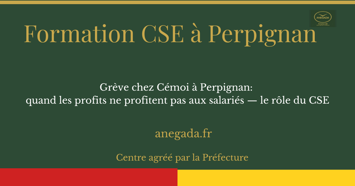 François Deplanque — Grève chez Cémoi à Perpignan: quand les profits ne profitent pas aux salariés —           le rôle du CSE