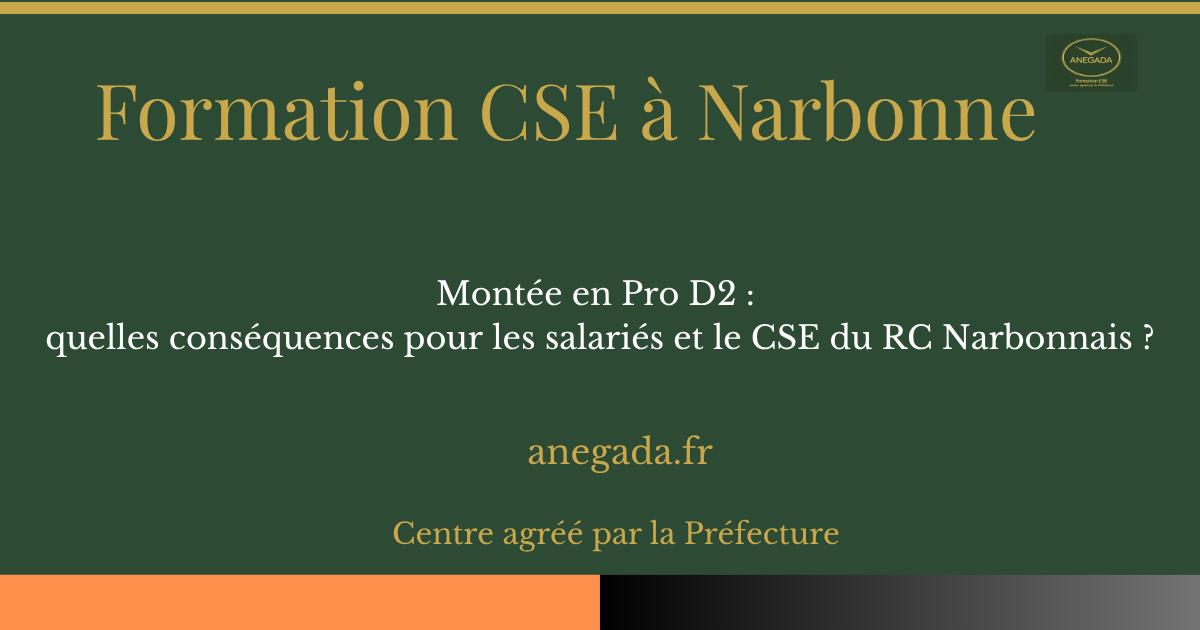 François Deplanque — Montée en Pro D2 : quelles conséquences pour les salariés et le CSE du RC Narbonnais ?
