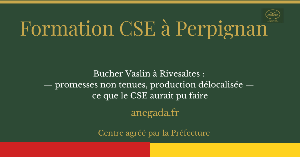 François Deplanque — Bucher Vaslin à Rivesaltes : promesses non tenues, production délocalisée — ce que le CSE aurait pu faire