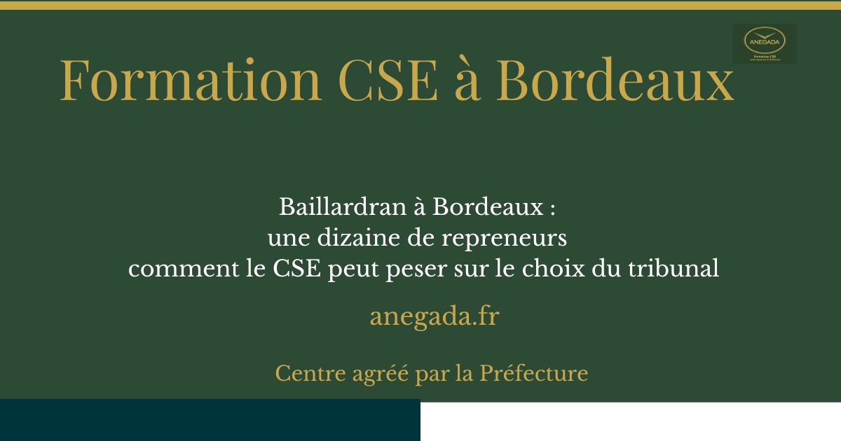 François Deplanque — Baillardran à Bordeaux : une dizaine de repreneurs — comment le CSE peut peser sur le choix du tribunal