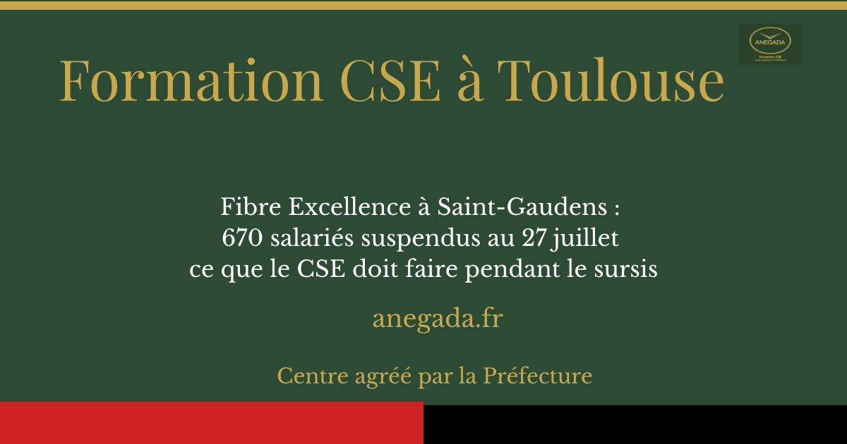 François Deplanque - ANEGADA FORMATION CSE  — Fibre Excellence à Saint-Gaudens : 670 salariés suspendus au 27 juillet — ce que le CSE doit faire pendant le sursis
