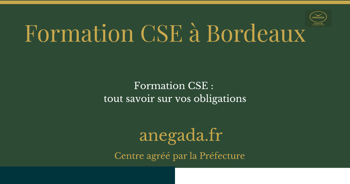 Formation CSE à Bordeaux : tout savoir sur vos obligations