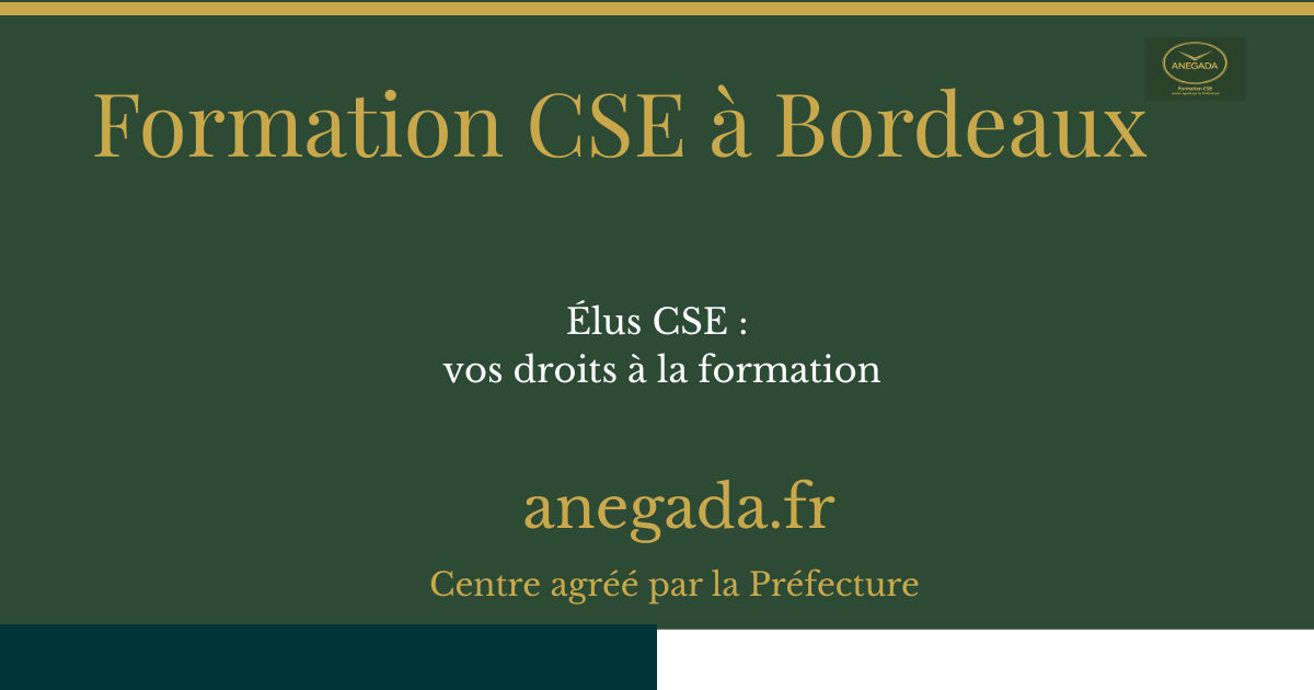 Élus CSE à Bordeaux : vos droits à la formation