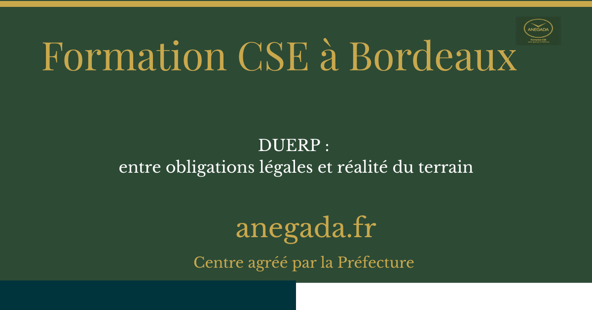 DUERP à Bordeaux : entre oDUERP à Bordeaux : entre obligations légales et réalité du terrainbligations légales et réalité du terrain