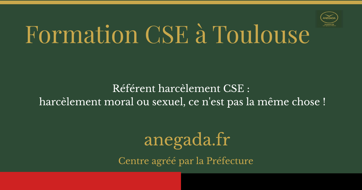 Référent harcèlement CSE à Toulouse : harcèlement moral ou sexuel, ce n'est pas la même chose !