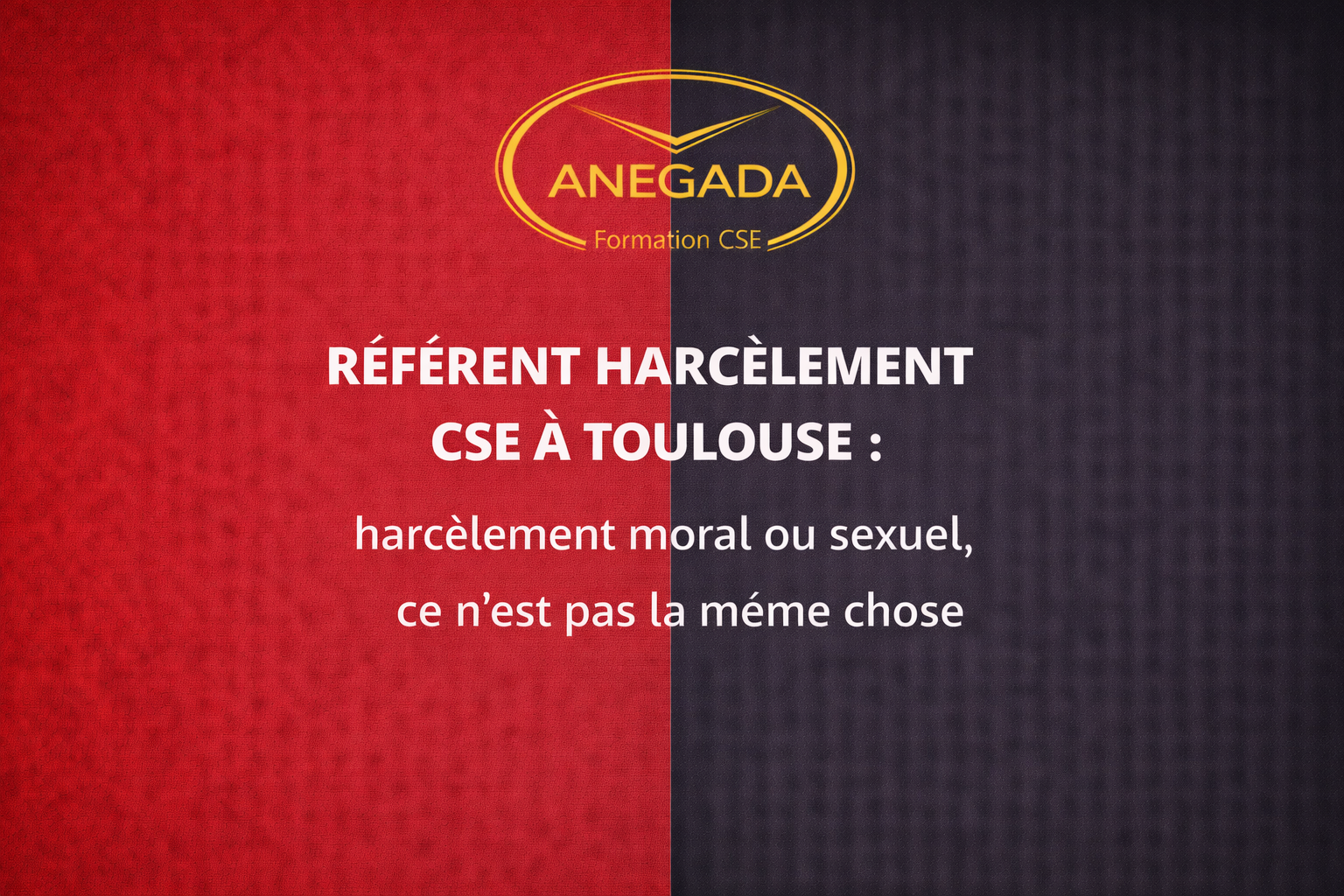 Référent harcèlement CSE à Toulouse : harcèlement moral ou sexuel, ce n'est pas la même chose !