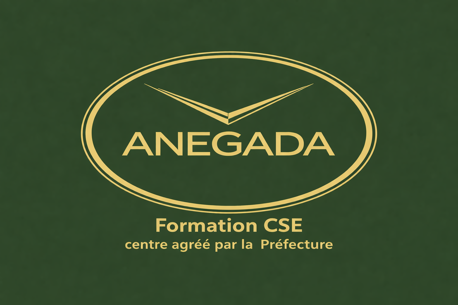 Formation CSE économique à Montpellier : à quoi ça sert ?