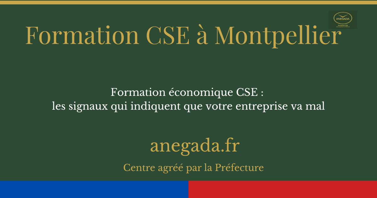 Formation économique CSE à Montpellier : les signaux qui indiquent que votre entreprise va mal