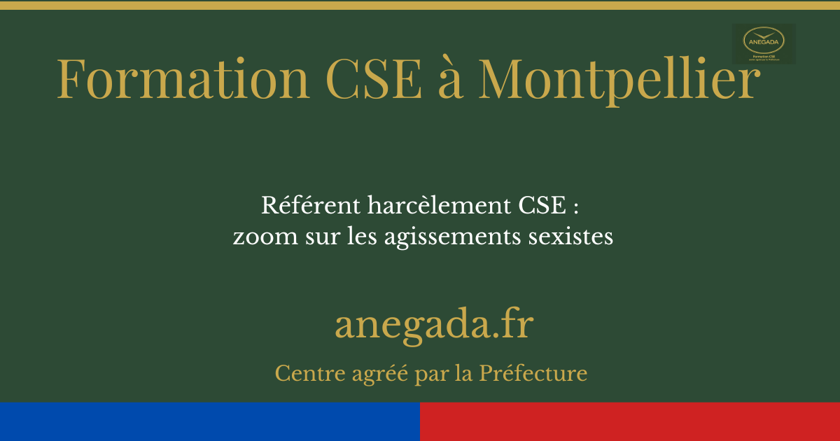 Référent harcèlement CSE à Montpellier : zoom sur les agissements sexistes