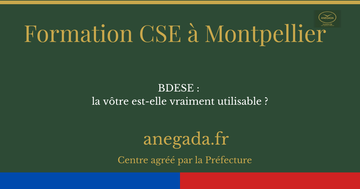 BDESE à Montpellier : la vôtre est-elle vraiment utilisable ?