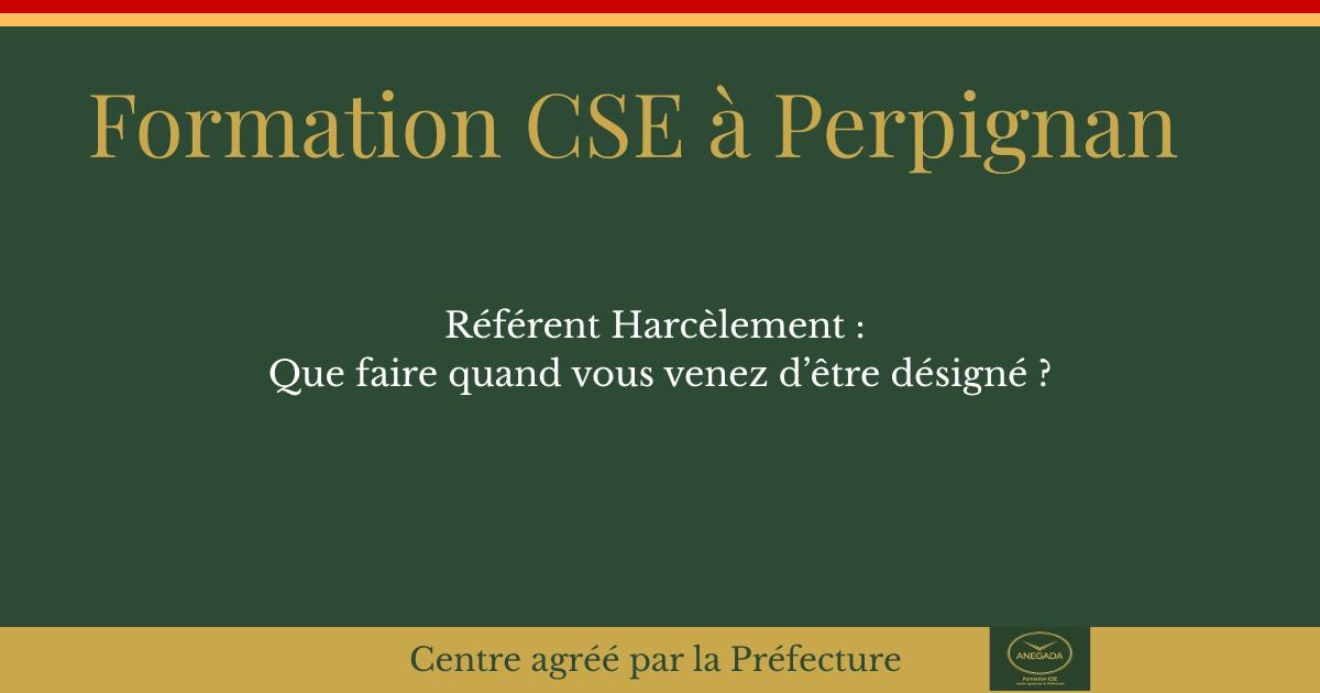 Référent harcèlement CSE à Perpignan : que faire quand vous venez d'être désigné ?