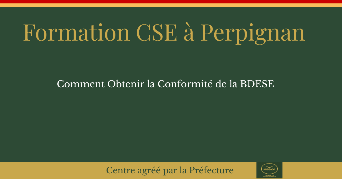 Élus CSE à Perpignan : comment imposer à votre employeur la mise en conformité de la BDESE