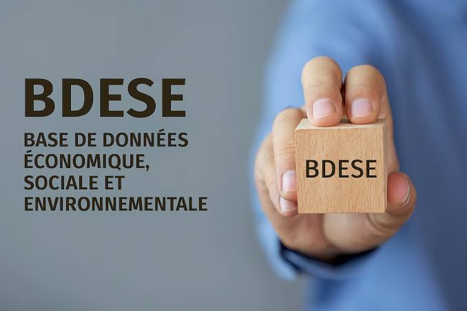 Élus CSE à Perpignan : comment imposer à votre employeur la mise en conformité de la BDESE