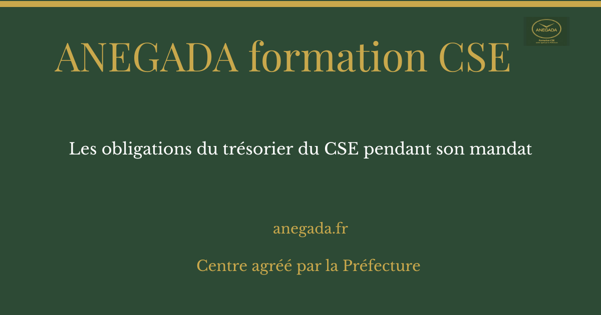 François Deplanque — Les obligations du trésorier du CSE pendant son mandat
