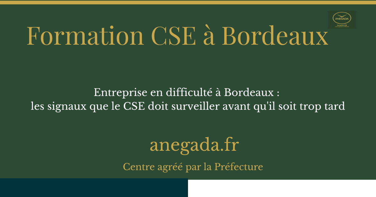 Entreprise en difficulté à Bordeaux : les signaux que le CSE doit surveiller avant qu'il soit trop tard